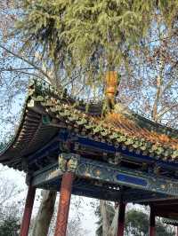 南京閱江樓：歷史雅韻與親子之樂的交融