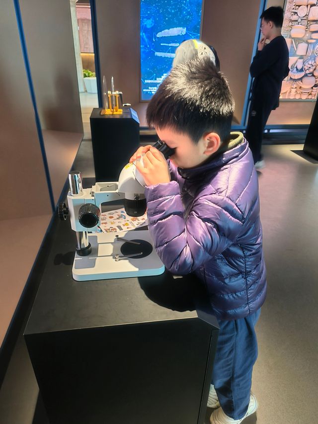 遛娃寶地 世界技能博物館