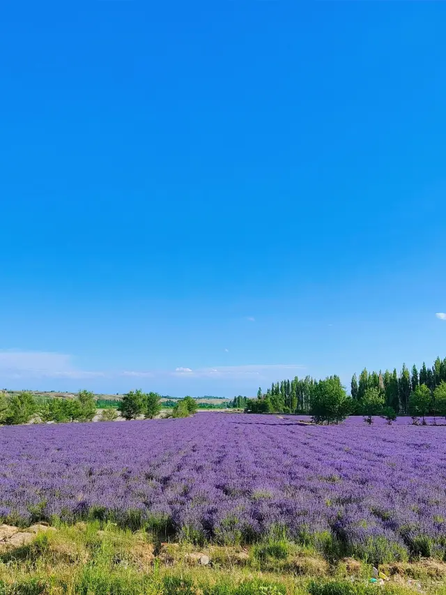 Turpan-Ili-Bortala Citywalk: A Detailed Travel Guide