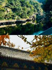 天然氧吧，泰山後山玉泉寺