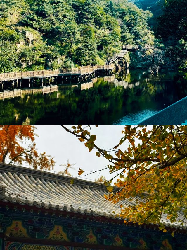 天然氧吧，泰山後山玉泉寺