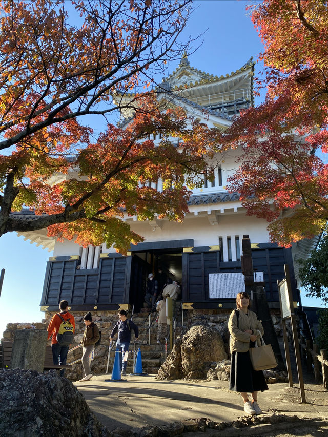 日本岐阜城 登高望遠