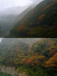 德島之旅，體驗日式文化與現代生活嘅完美融合