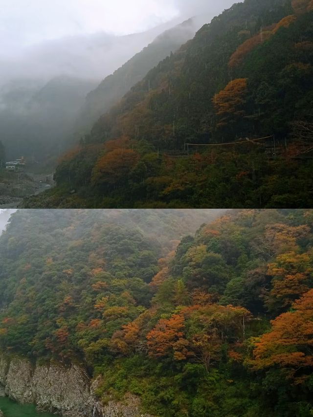 德島之旅，體驗日式文化與現代生活嘅完美融合