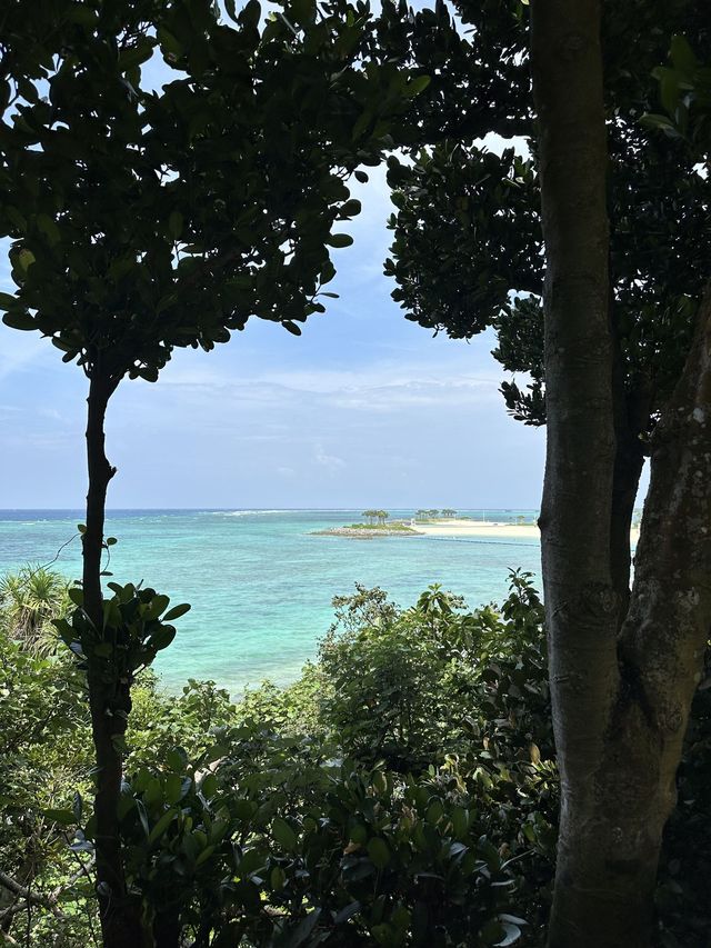 5日深度遊 揭秘日本隱藏玩法