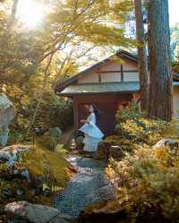 京都虹夕諾雅 | 絕美紅葉與溫柔服務