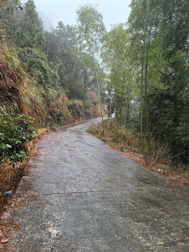 白岩山上白岩寺，立春時節春雨盛