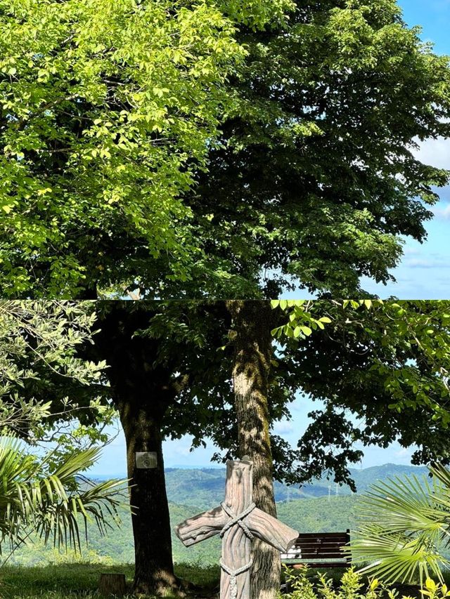 迄今為止，我最喜歡的免簽國出現了！