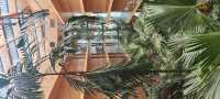 阿姆斯特丹|獨特環保酒店