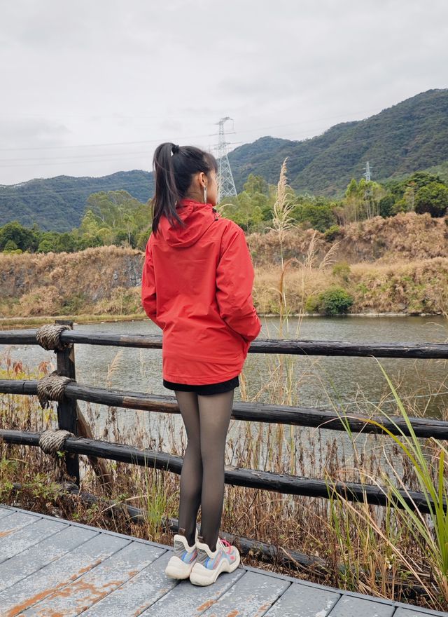 廣州周邊| 來一場古樹森林月球之旅