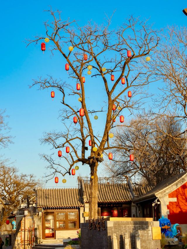 元宵賞燈會好去處，模式口大紅燈籠高高掛
