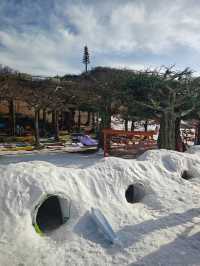 雲上草原雪場開了，我的運動細胞按捺不住啦！