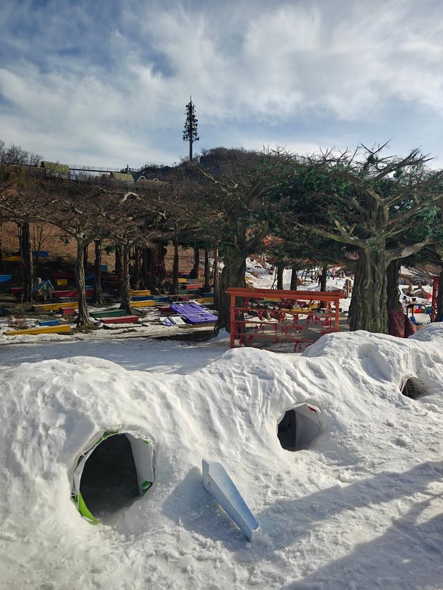 雲上草原雪場開了，我的運動細胞按捺不住啦！