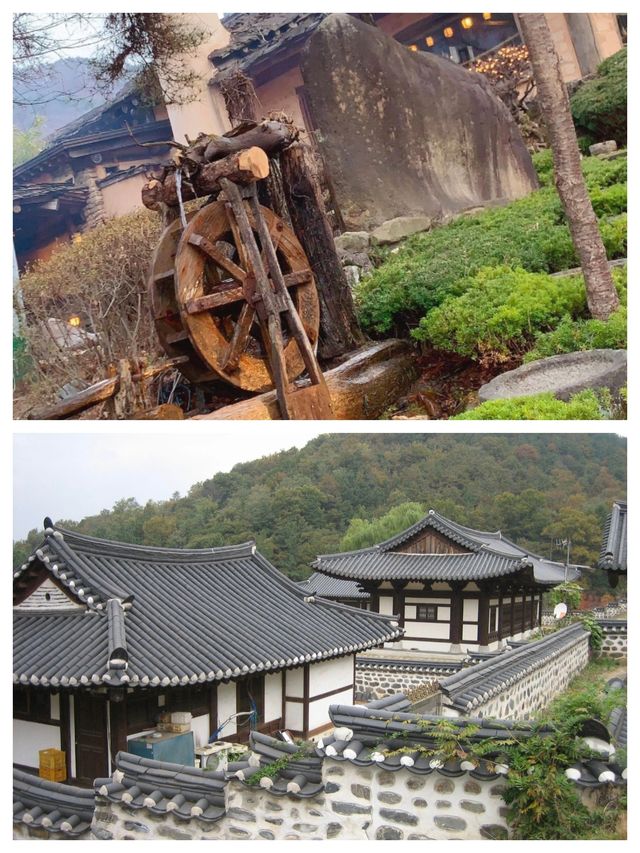 探索 韓國大田之旅