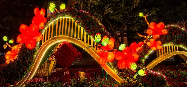 一夜花燈醉