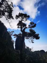 雲中仙景莽山