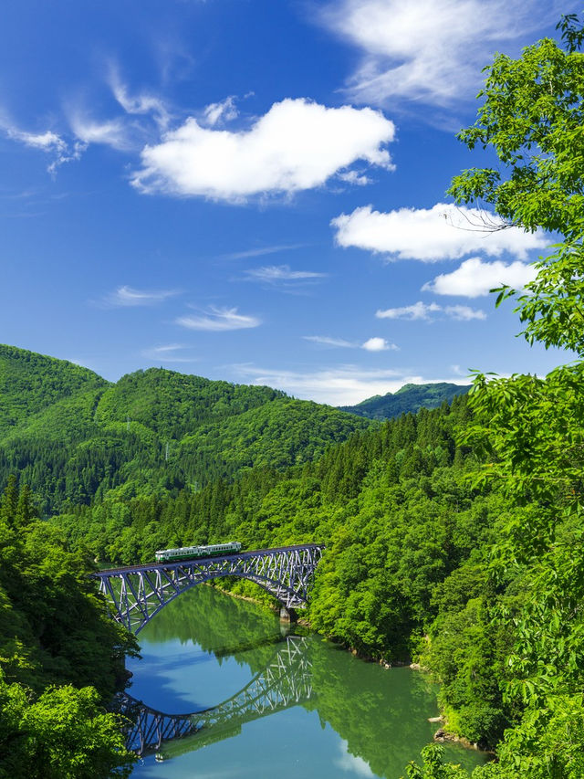 三島市小眾旅行攻略