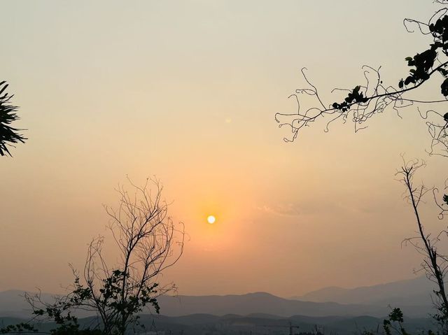 夕陽篝火草坪