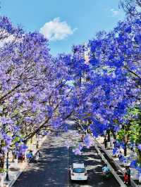 Kunming Attractions 