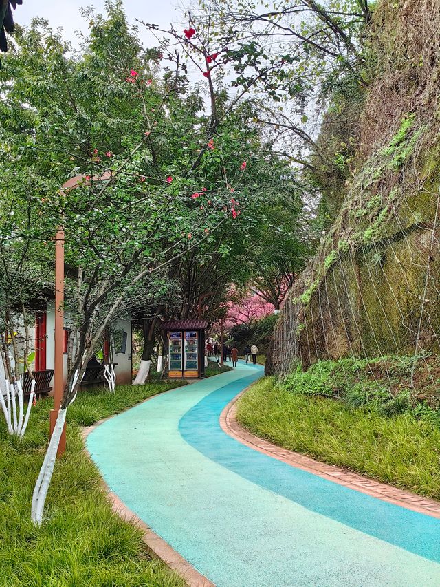 春日漫步：彩雲湖公園