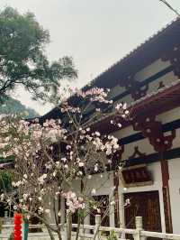 今天天氣不是很好，景色都這麼美！