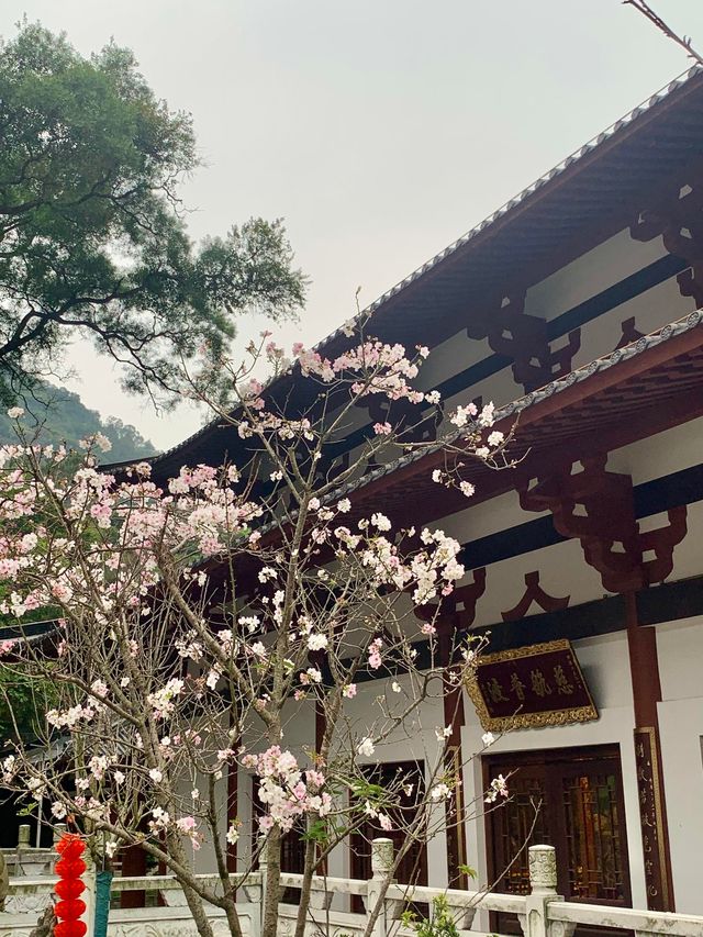 今天天氣不是很好，景色都這麼美！
