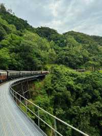 3日探索澳洲 森林之旅必收藏