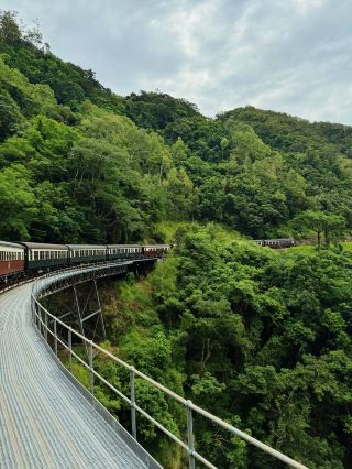 3-Day Mystical Australian Forest Tour (Save This!)