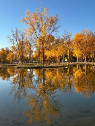 8天行程 帶你深度玩轉阿拉善-烏海-酒泉別錯過