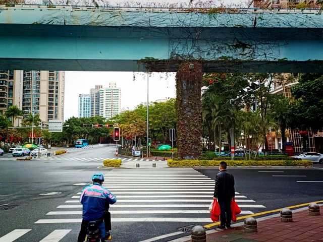 Beautiful Fuzhou Is Now Accessible for Transit Tourists!
