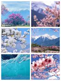 徒步·西藏林芝-巴松措 探秘森林氧吧盡享天然呼吸感
