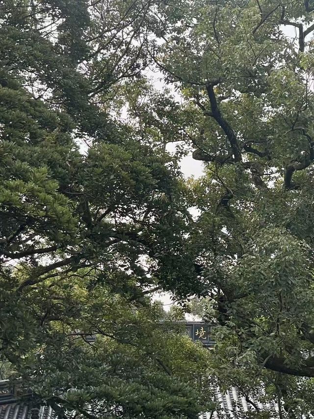 春日嚟青島旅遊,到湛山寺祈福啦 春日嚟青島旅遊,到湛山寺祈福啦