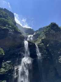 九江2日遊 森林探秘之旅