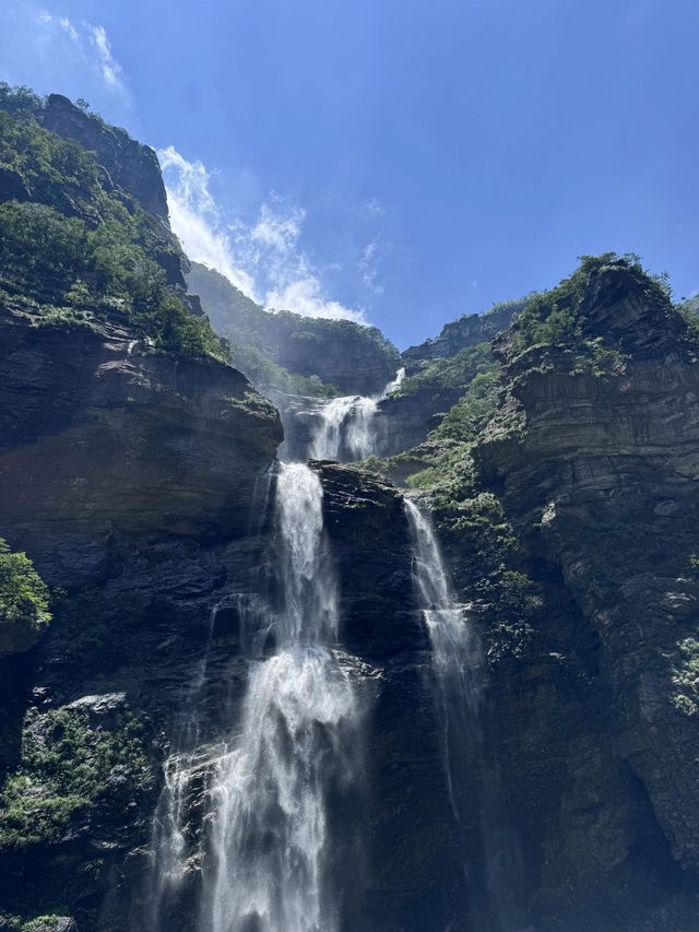 九江2日遊 森林探秘之旅