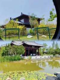 滄州園博園︱暢玩全攻略，解鎖城市園林新地標