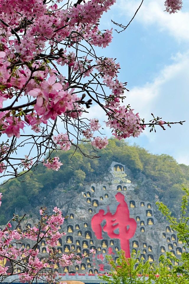 春天，相約東華禪寺清修，感受內心寧靜美好，畀身心放個假吧！