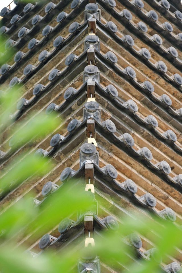 走進這片神奇的土地