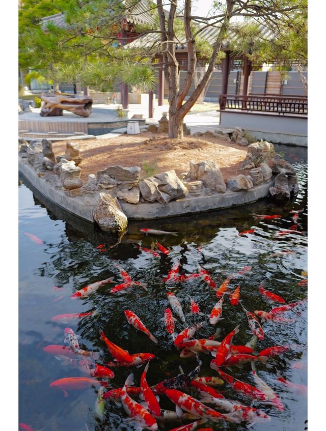 很有東方美學的中式庭院私湯！