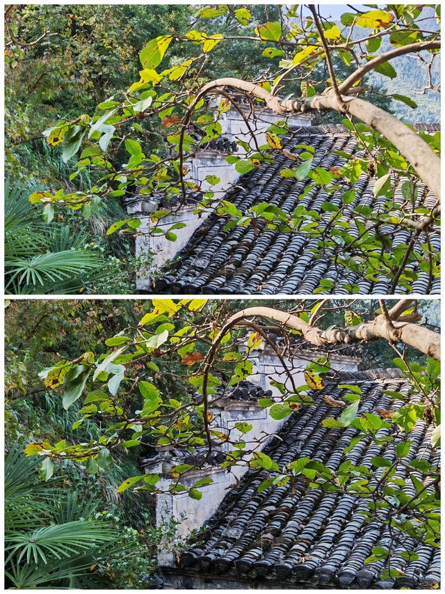 贛東北探秋丨婺源篁嶺景區b