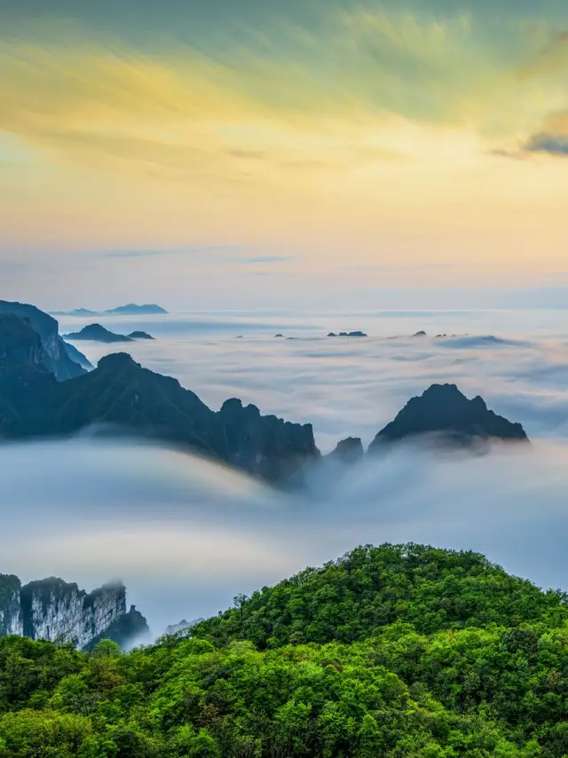 창사-장자제-천문산 6일 투어 자세한 공략으로 즐거운 여행을!