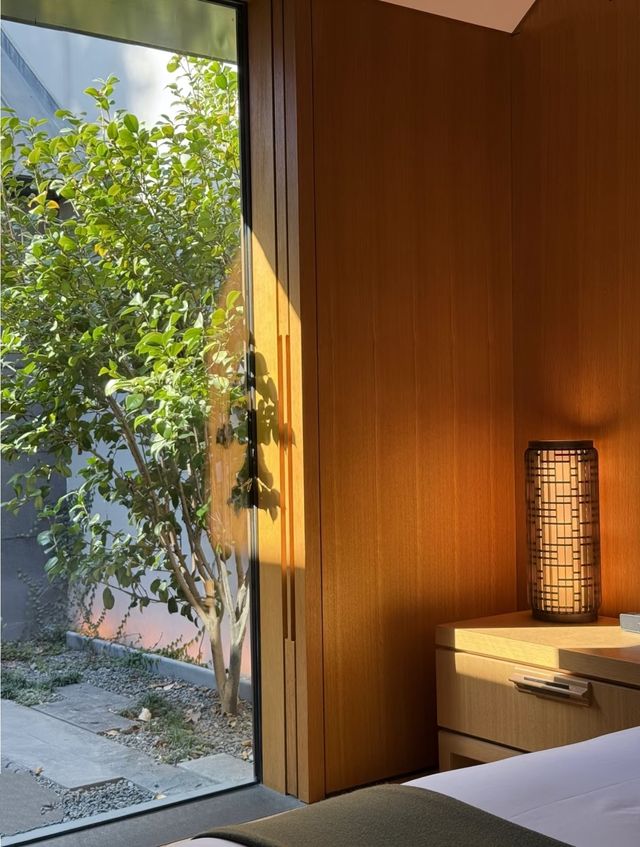 去上海隱世小眾地盡情森呼吸