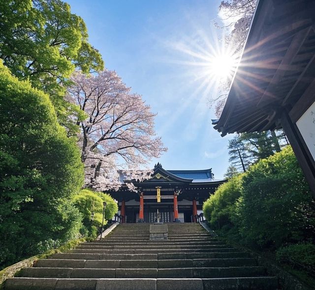鬼斧神工木の國：尾鷲木匠的千年榫卯密碼