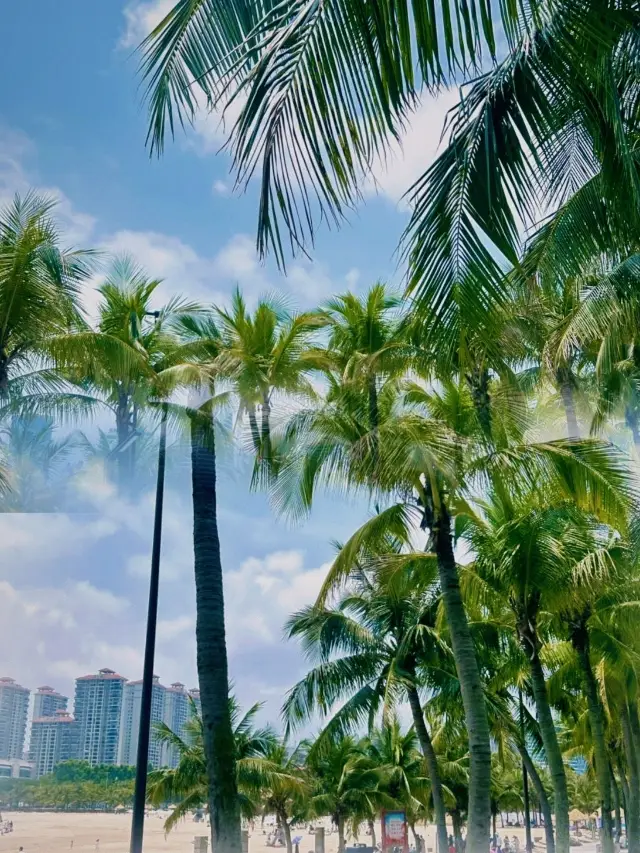 Zhanjiang Travel: Golden Beach Promenade and Beach Sunrise
