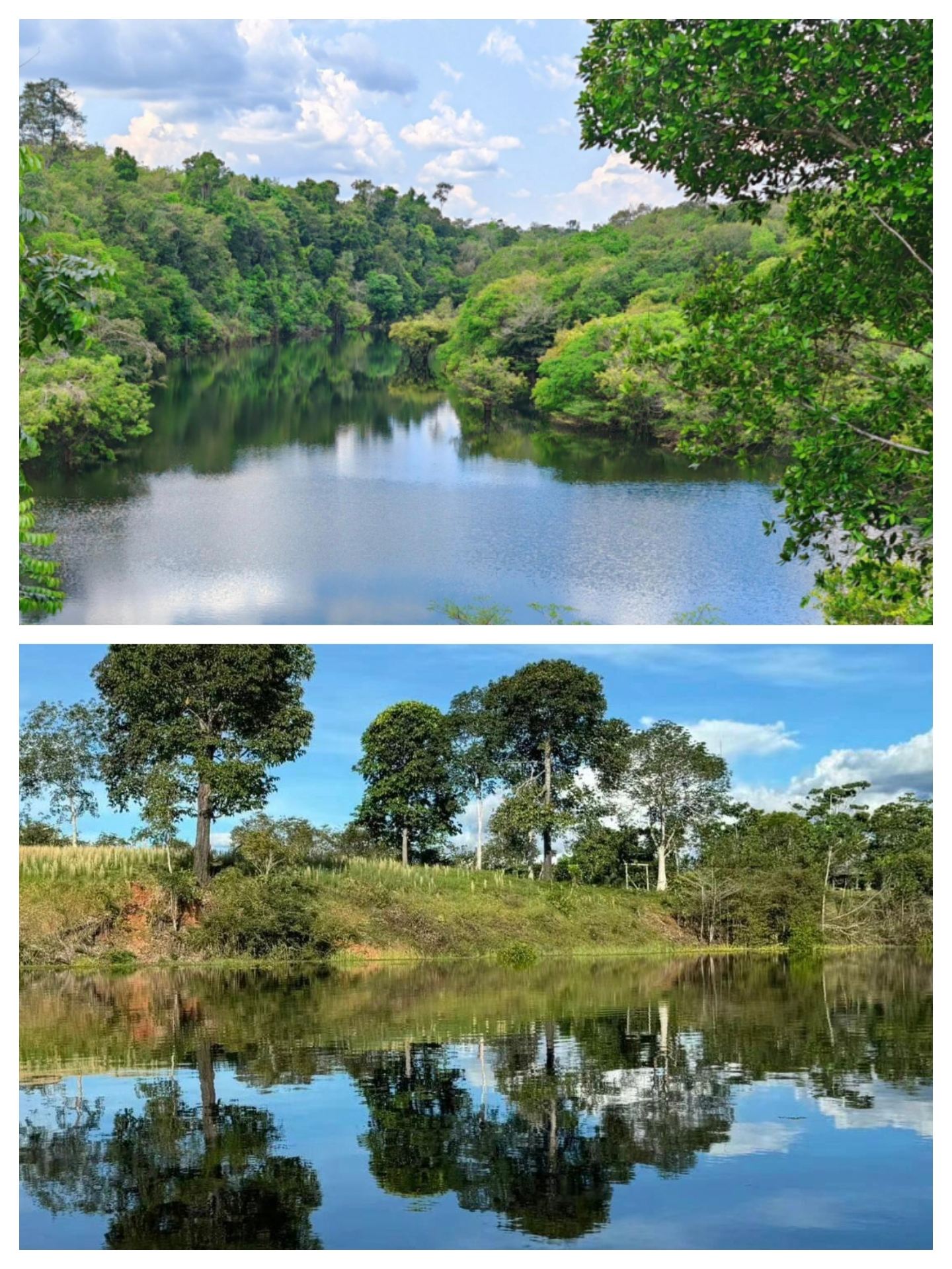 Explore Manaus, Brazil: A Mystical Journey to the Heart of the Amazon