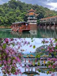 打卡肇慶，完美旅行路線。