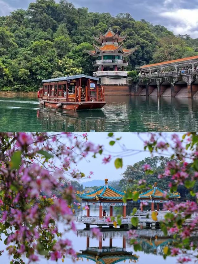 打卡肇慶，完美旅行路線。
