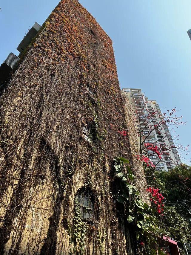 華僑城創意文化園