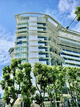 A City Full of Literary Charm: The Intelligent Journey of the National Library of Singapore