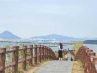 香港｜大嶼山天壇大佛大澳漁村一日遊攻略