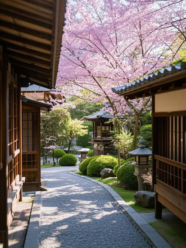 나라 벚꽃 4일: 고도 꽃놀이 완전 공략